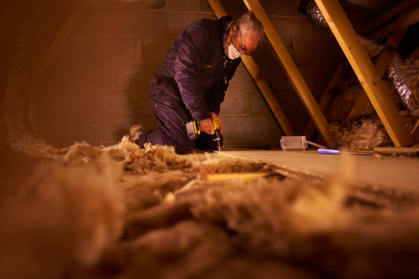 Best Basement Insulation  in Jackson, AL